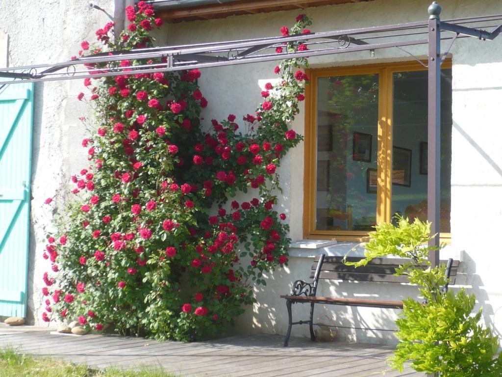 Les Garennes Hotel Saint-Uze Eksteriør billede